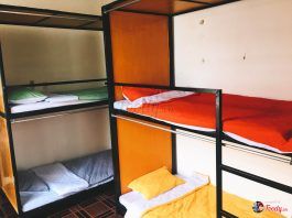 phòng dorm tại halo homestay đà nẵng